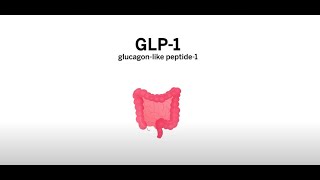 Role of GLP1 Receptor Agonists for Weight Loss [upl. by Aiciled]