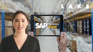 3 key reasons why SAP Business One is perfect for wholesale distributors [upl. by Ardnauq]