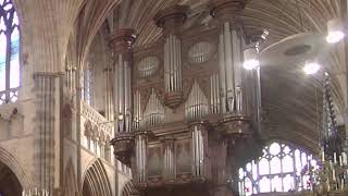 Exeter Cathedral Live Stream [upl. by Enyahc]