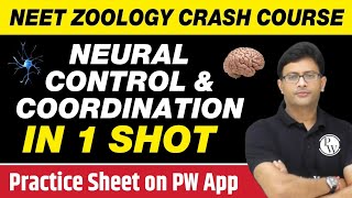 NEURAL CONTROL AND COORDINATION in One Shot  All Concepts Tricks amp PYQs  Class 11  NEET [upl. by Cirdnek607]