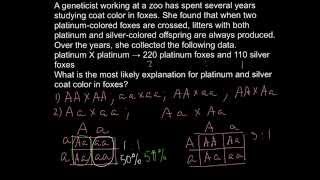 What is the Lethal Allele [upl. by Stockmon]