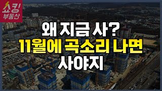 11월 올림픽파크포레온 역전세난이 기회다 VS 아니다 지금이다 [upl. by Adniuqal]