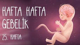 Hafta Hafta Gebelik 25 hafta [upl. by Eema]