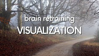 Guided Brain Retraining Visualization  DNRS Program Gupta Program  Example 5 [upl. by Hanoj]