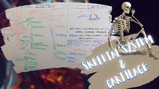 Introduction to Skeletal System amp Cartilage شرح بالعربى [upl. by Alec424]