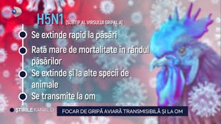 Stirile Kanal D  Focar de gripa aviara transmisibila si la om  Editie de seara [upl. by Taryn358]