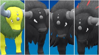 FULL TAUROS FORMS TEAM Shiny Tauros Paldean Blaze Aqua Combat Breed Moveset Scarlet Violet [upl. by Zephaniah]