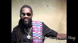 Tarrus Riley Groovy Little Thing [upl. by Kirstyn]