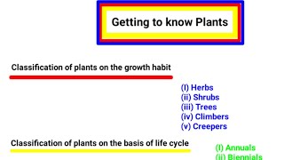 Classification of Plants  HerbsShrubsTrees Climbers Creepers  Full Explanation [upl. by Dulcia]