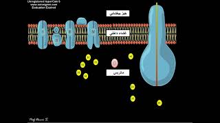 Animation phosphorylation oxydative  التفسفر المؤكسد [upl. by Andrel865]