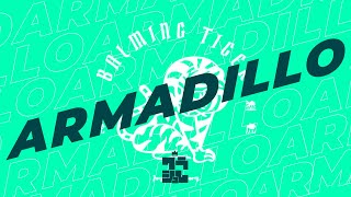 Balming Tiger  Armadillo Feat Omega Sapien Byung Un Typography [upl. by Kcireddor]