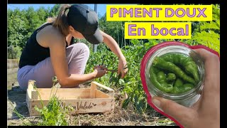 PIMENTS DOUX conservation BOCAUX [upl. by Ranie]