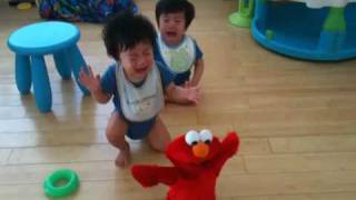 Twin babies crying and screaming when Elmo shakes [upl. by Beera571]