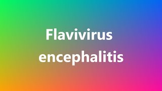 Flavivirus encephalitis  Medical Definition and Pronunciation [upl. by Lewes]