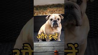 Five popular dog name  popular breed dog  Dog video fact video  short video amazingfacts [upl. by Barry]