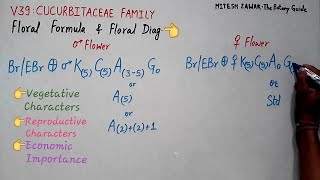 Cucurbitaceae Family  Gourd Family  Floral Formula and Floral Diagram of Cucurbitaceae [upl. by Bille]