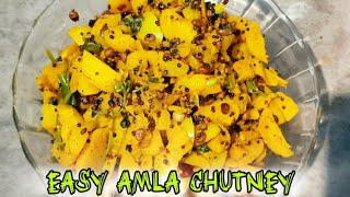 Amla Chutney Recipe  Indian Gooseberry Chutney  Skinny Recipes [upl. by Odlaniger]