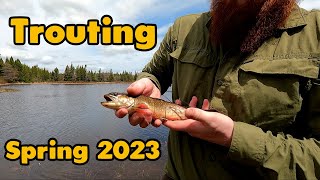 Trouting Trip In Newfoundland  Spring 2023 [upl. by Sakiv48]