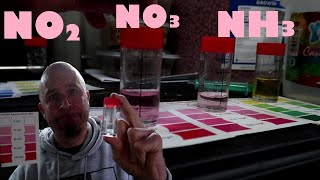 Koi Pond Water Testing  Nitrite Ammonia Nitrate PH [upl. by Deacon493]