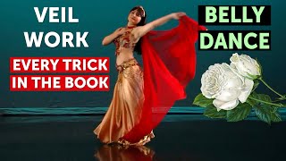 From BIR DEMET A CLASSIC BELLY DANCE VEIL CHOREOGRAPHY INSTANT VIDEO at WorldDanceNewYorkcom [upl. by Sibie]