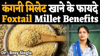 कंगनी मिलेट खाने के फायदे  फॉक्‍सटेल मिलेट  foxtail millet Benifits  foxtail millet ke fayde [upl. by Meldon]