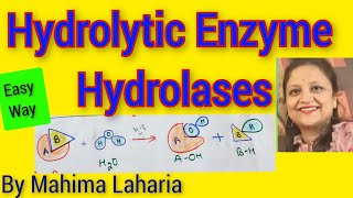 Hydrolytic Enzyme Classification Application nomenclaturesignificance [upl. by Ailefo]