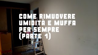 Come rimuovere umidità e muffa per sempre Parte 1 [upl. by Nevla]