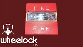 Wheelock RSS24MCW Remote Strobe Fire Alarm Test [upl. by Derr]