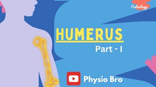 Humerus Part1 [upl. by Name798]