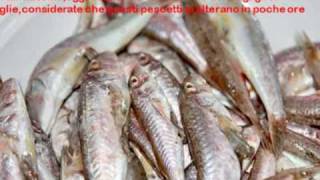 Frittura di calamari gamberi rossi e per fortuna fragagli di triglia [upl. by Acinet722]