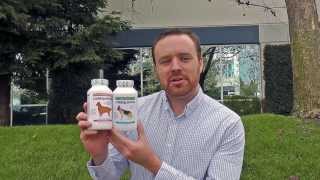 Cosequin DS Joint Support with Glucosamine and Chondroitin for Dogs [upl. by Jena]