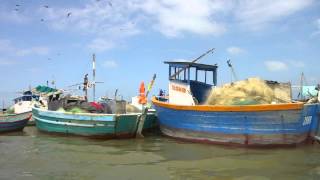 Puerto Pizarro Tumbes  En Barco a los Manglares Peru [upl. by Maximilian]