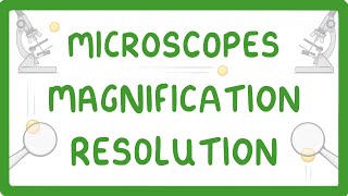 GCSE Biology  What is Microscopy 5 [upl. by Ruff]