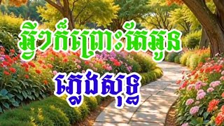 បទព្រោះតែអូនភ្លេងសុទ្ធ [upl. by Llien]