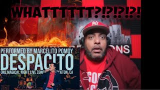 MARCELITO POMOY  quotDESPACITOquot  REACTION  HOW MANY LANGUAGES [upl. by Leblanc]