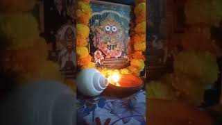 jay Jagannath Odia bhagabata patha [upl. by Pheni]