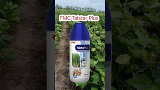 FMC Talstar Plus Bifenthrin 8  Clothianidin 10 SC Insecticideinsecticidefertilizer 🌿 [upl. by Yrellih]