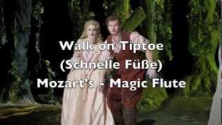 Magic Flute  Walk on Tiptoe Schnelle fuesse [upl. by Rosabelle656]