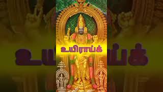 Uruvai aruvai song shorts venmegam music  surasamharam thiruchandur Thalapathi [upl. by Mccowyn770]