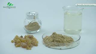 Boswellia Serrata Extract [upl. by Zipporah]