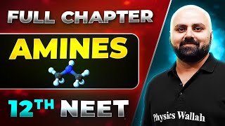 Amines FULL CHAPTER  Class 12th Organic Chemistry  Lakshya NEET [upl. by Baras]