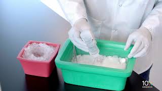 Visium Tissue Preparation Protocol  Embedding Frozen Tissue in OCT [upl. by Veljkov766]