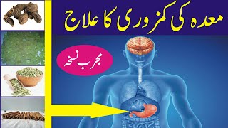 Maday ki kamzori ka ilaj in Urdu  Maida Stomach ki kamzori treatment [upl. by Yseulta]