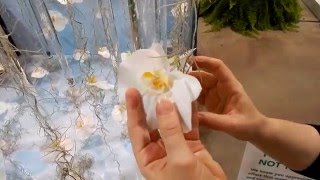 Toronto Flower Show at Canada Blooms 2016 Invitational Floral Art Class Celebrate [upl. by Dawaj]