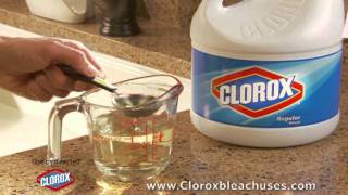 Clorox Liquid Bleachmov [upl. by Marian]