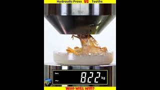 Different Teeth Vs Hydraulic Press shorts whatif uniqueexperiment मजेदारविडिओ [upl. by Kanal963]