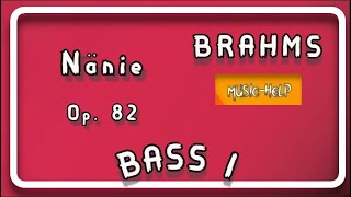 Bass1  Brahms  Nänie Op 82 [upl. by Adnohs]