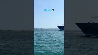 INDIAN OCEAN WHEN IT IS CALM oceanwaves ocean viralvideo bali [upl. by Enetsuj]