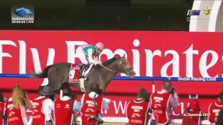 Dubai World Cup 2017  ARROGATE  All the details [upl. by Eimmas]