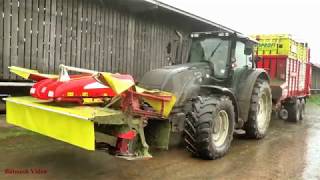 Feeding Cattle using Kubota Tractor 2 [upl. by Wendi]